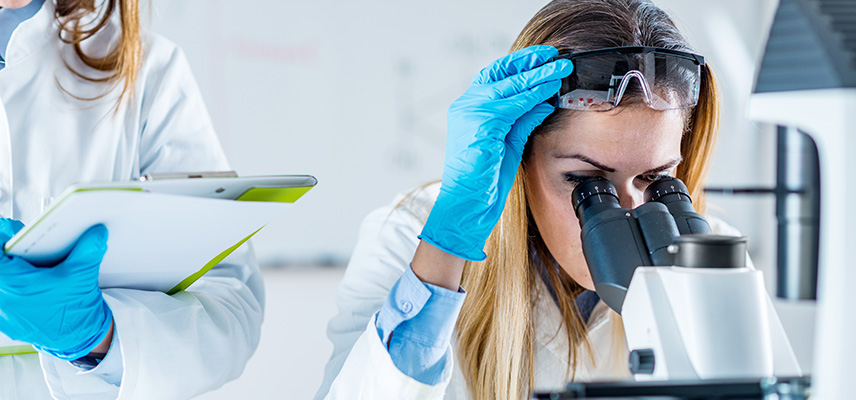 Wie wird man Ingenieur für Biotechnologie?