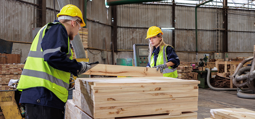Wie wird man Ingenieur der Holztechnik?