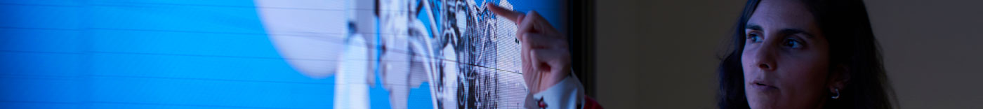 Bild zu Customer Operations Officer